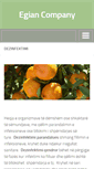 Mobile Screenshot of egianal.com