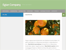 Tablet Screenshot of egianal.com